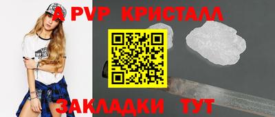 дмт Кингисепп