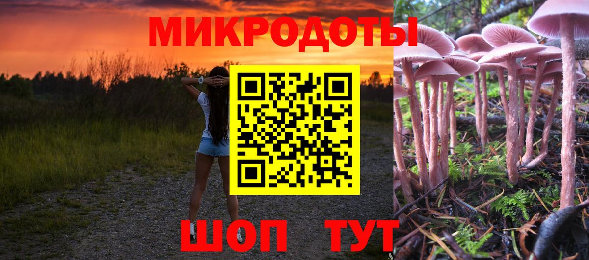 Псилоцибиновые грибы мухоморы Якутск